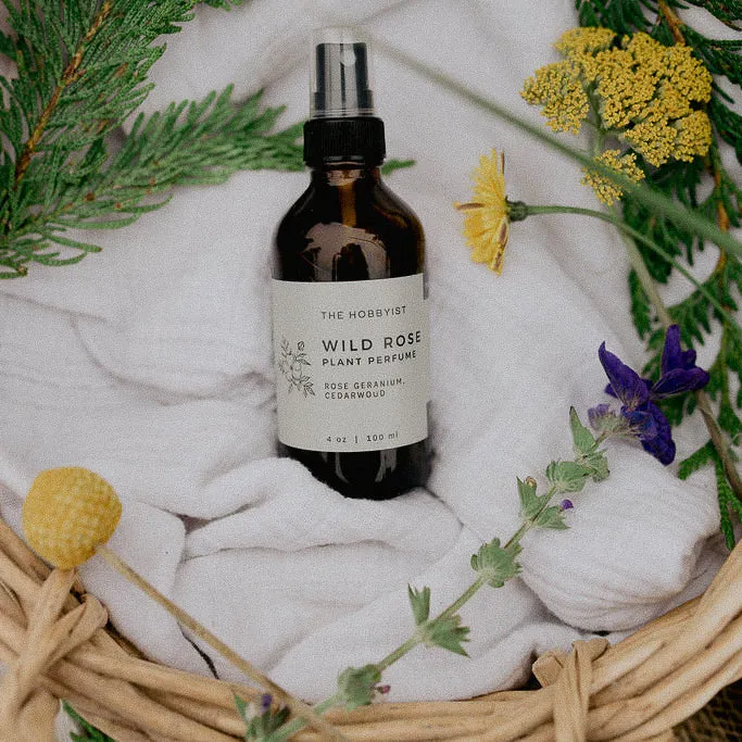 Wild Rose | Plant Perfume